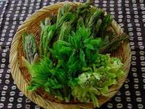 �v�`�z�e���@�A�����̎{�ݎʐ^2