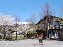 �v�`�z�e���@�A�����̊O�ώʐ^