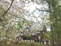 ���ȍ����@�I�[�x���W���@�V�����[�O�����f���̊O�ώʐ^