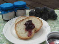 �y���V�����@���u���h�[���̎{�ݎʐ^3