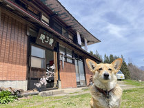 �Ö���noie���T��̊O�ώʐ^