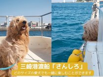 Doki Doggie ���� globe�̎{�ݎʐ^3