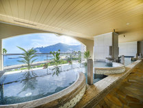 ���r�X�^�M�C�e���X�i�������]�[�g�j26�N3��31���O�����hOPEN�̊O�ώʐ^