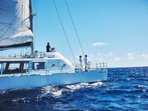 ANA�C���^�[�R���`�l���^�������r�[�`���]�[�g by IHG�̎{�ݎʐ^2