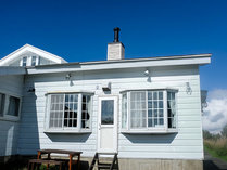 �V����R���̊O�ώʐ^