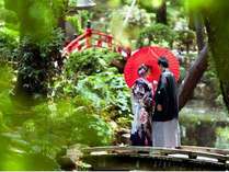 �z�e���Ζ{�̊O�ώʐ^