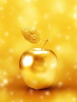 �z�e���Ζ{�̎{�ݎʐ^2