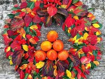 �z�e���Ζ{�̊O�ώʐ^