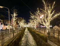 �������̊O�ώʐ^