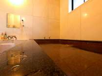 �H���y���ރ��_���h�@���ё��|�����������������|�̎{�ݎʐ^2