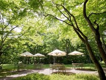 �z�e�������m�X�`�I�[�N���z�e���Y�����]�[�c�`�̎{�ݎʐ^2