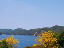 �匎�A�E�g�h�A�t�B�[���hKASHINISHI�̎{�ݎʐ^2