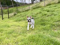 �B���village �d�̂��났 �����̎{�ݎʐ^3