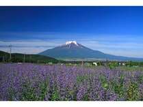 �E�씪�C�قƂ�̏h�@���C�N�E��̎{�ݎʐ^3