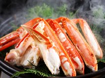 �V��������@�΋��O�̎{�ݎʐ^3