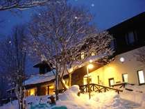 �����f���̓��@���r�X�^���䍂���̎ʐ^