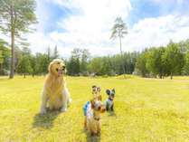 �t�H���X�g���B���b�W�̊O�ώʐ^