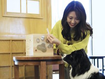 艜withDOGS̎{ݎʐ^3