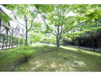 �z�e���}���E�h�y���̎{�ݎʐ^2