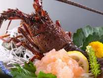 ���B�̏h�@�����̎{�ݎʐ^2