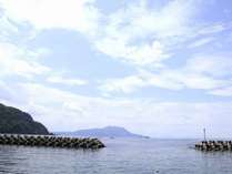 �ዷ�_�q�̏h�@���{�̎{�ݎʐ^3