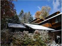 �y���V�����y���t�H�[���X�g�̊O�ώʐ^