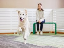 �T�̈�z�e�� ��a���Q�i4/11�` �����p���_�C�X �ޗǐ��� �j�̎{�ݎʐ^3