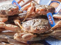 aI[xW@_yi炱j̎{ݎʐ^3