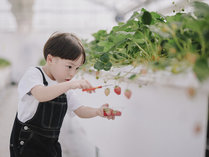 THE FARM XE}Eec̎{ݎʐ^3