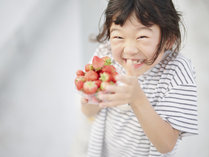 THE FARM �X���E�}�E���e�����c�̎{�ݎʐ^2