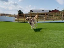 Aoniwa -�ɒ�- AWAJI�b�C�E��E�u�����R�B�̎{�ݎʐ^3