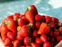 ���샊�]�[�g�@�E �S�{��̎{�ݎʐ^3