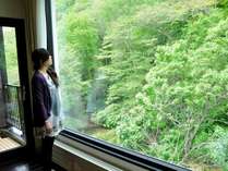 ��������聟�J�b�v�����v�w�ɐl�C�I���V�ٗm���ŉ߂����g�����������ԁh��喞�i�I�����炬��V�^�Q�H�t