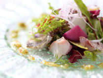 yqiQHtvznYn̊qt`uKamakuravR[XyށAXeC^[Ht