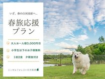 �y�t�������v�����z��1��2�H�t���@�o�C�L���O�v�����y���w���ȉ������z