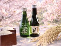 �y�t�̂��h�K�X�g���m�~�[�z�n�����ݔ�ד��T�t�Z�t���ɖ����ށA���㋍�~���������|����n���ƂƂ���