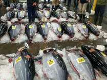 【第一弾★寿司フェア】北海道産ウニもイクラも食べ放題!+80分飲み放題!10月1日-12月26日♪