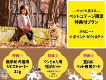 �y���������z���|�C���g10�������������h���Z�b�g&������T�t��2�H�t�^BBQ�]��{�]��&nbsp;�I�����C���J�[�h���ω�