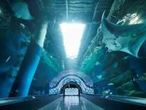 �y�f��E�{�E�����O�E�����فz�V�i�v����V�т����I�I�G���^���p�X�|�[�g�X�e�C