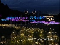 �I�ׂ���T�IMountain&nbsp;Lights&nbsp;�܂���&nbsp;�T�}�[�S���h���`�P�b�g�t�v�����i���H�t�j
