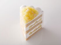 �y���������E���I�v�����z��10���I�t��SATSUKI�V�E�ŋ��̃r���b�t�F���H���ٓ����p��1������5,000�~�t