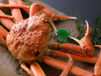 �y�I�H�ה[�߁z�E���C�g�A�E�g11���E�����炤�O��̖遜�R�A���t�I�~���s�a���t���I��ȁmH3n�n