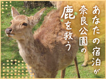 �y�z�e�����q�ޗǁ~�������z���Ȃ��̗����A�ޗǂ̎��̖����ɂȂ��遚������ׂ��t���^�H���Ȃ�