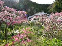 �z�e���@�}���Z�C���̎{�ݎʐ^2