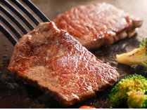 �z�e���}�C�X�e�C�Y�x�m�R�@�W�]����̎{�ݎʐ^2