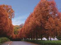 ACEACEh̎{ݎʐ^1