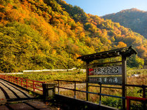 5̂߂ 쉷򌳓 ze̎{ݎʐ^2