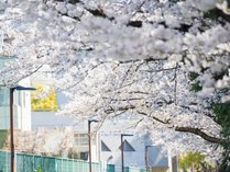 �V�e�B���[�g�z�e���̎{�ݎʐ^1