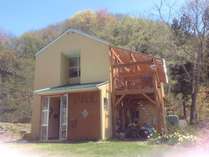 �y���V�����p���̊O�ώʐ^