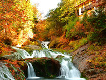 ȉ򋽁@Ȑh@@ˎ̓̊Oώʐ^